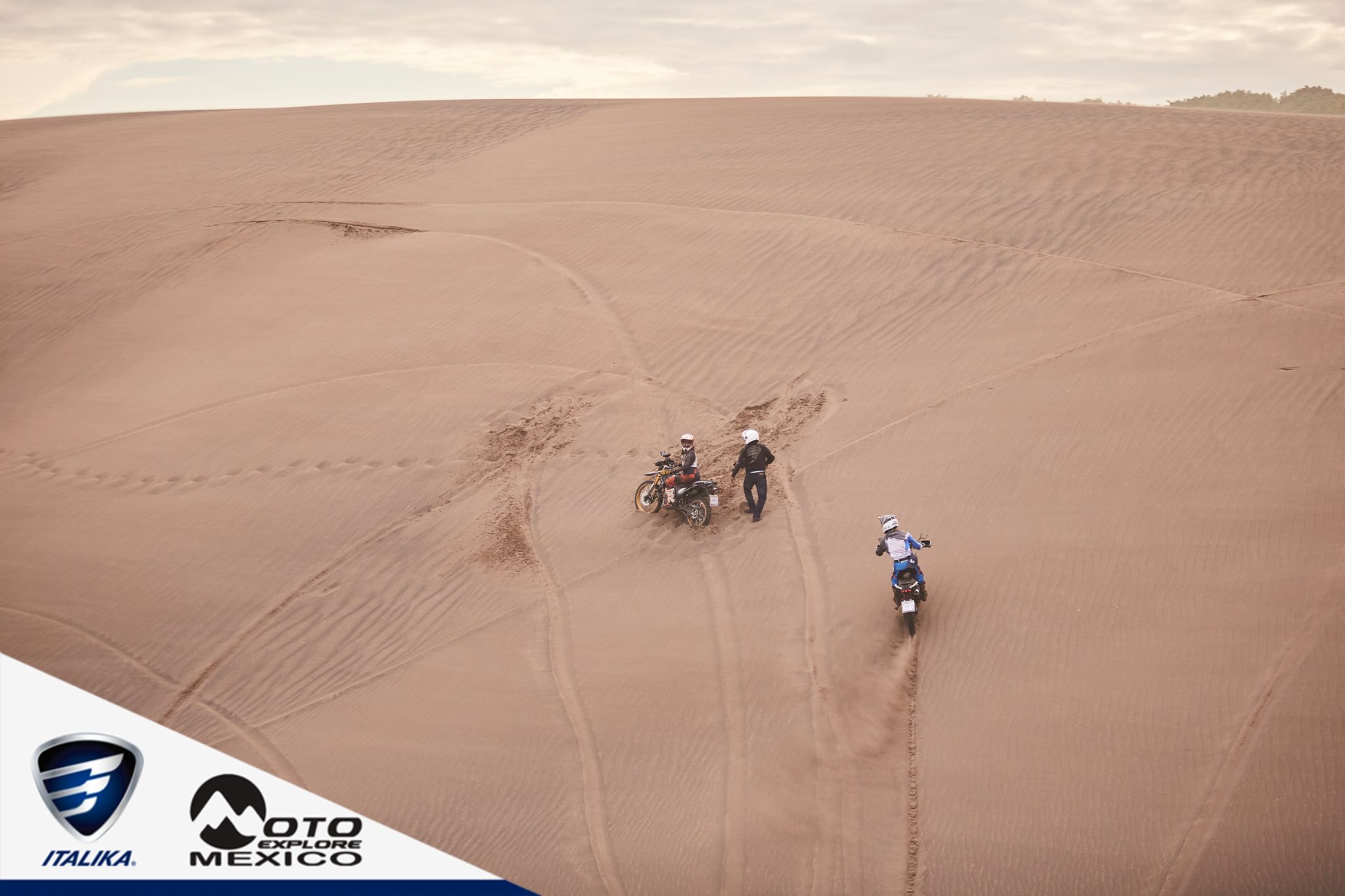 ITALIKA CHACHALACAS D2 461